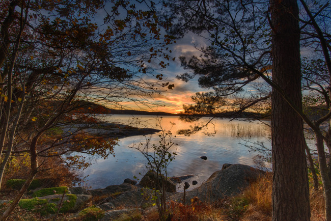 Обои картинки фото природа, реки, озера, лес, река