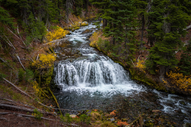Обои картинки фото природа, водопады, водопад, река, лес