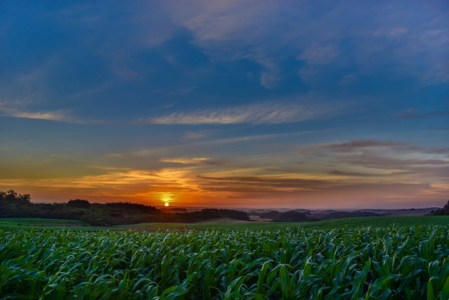 Обои картинки фото природа, восходы, закаты, рассвет