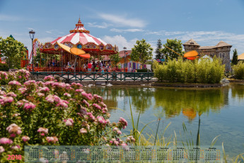 Картинка календари города 2018 растения цветы водоем карусель