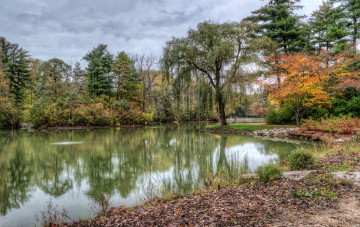 Картинка природа реки озера простор