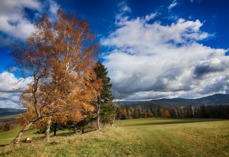 Картинка природа пейзажи простор