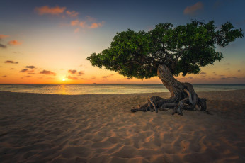 Картинка природа деревья простор