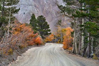 Картинка природа дороги простор