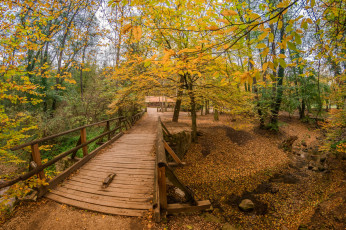 Картинка природа дороги простор