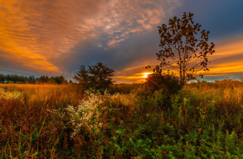 Картинка природа пейзажи простор