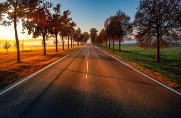 Картинка природа дороги простор