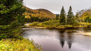 Картинка природа реки озера простор