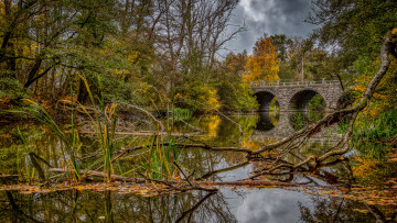 Картинка природа реки озера простор