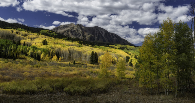 Обои картинки фото природа, пейзажи, простор