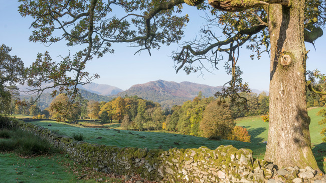 Обои картинки фото природа, пейзажи, простор