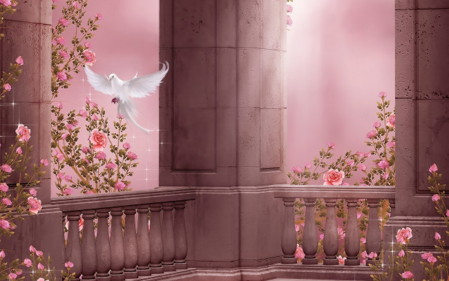 Обои картинки фото векторная графика, животные , animals, цветы, лепестки, голубь, фон