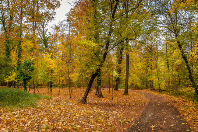 Обои картинки фото природа, дороги, простор