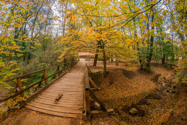 Обои картинки фото природа, дороги, простор