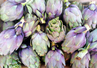 Картинка еда артишок экзотический овощ