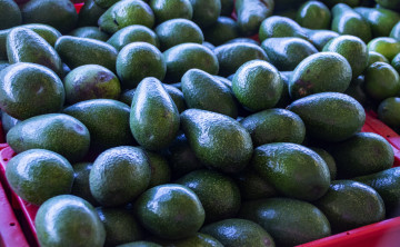 обоя еда, авокадо, экзотический, фрукт