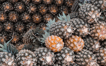 Картинка еда ананас экзотический фрукт