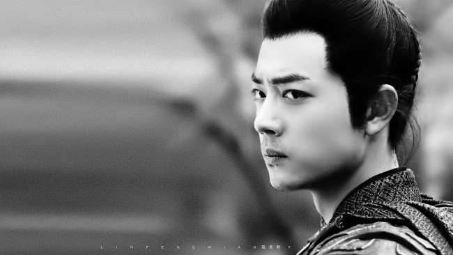 Обои картинки фото кино фильмы, the wolf, лицо