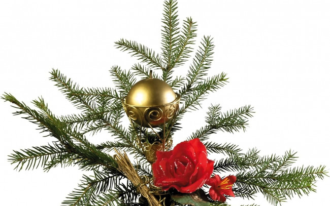 Обои картинки фото праздничные, ёлки, ёлка, роза, шар