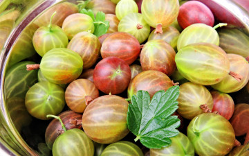 обоя еда, крыжовник, ягоды, спелый, макро