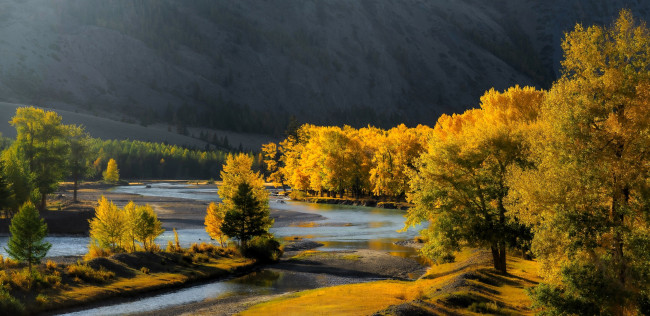 Обои картинки фото природа, реки, озера, горы, лес, деревья, осень, река