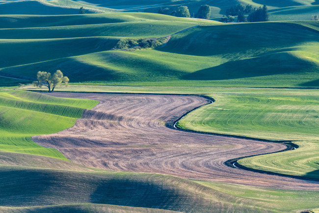 Обои картинки фото природа, луга, пейзаж