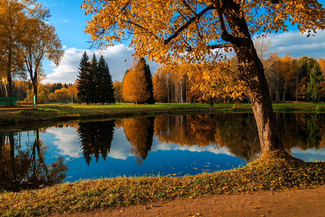 Обои картинки фото природа, реки, озера, озеро, деревья, лес, осень, листья