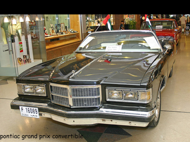 Обои картинки фото автомобили, pontiac
