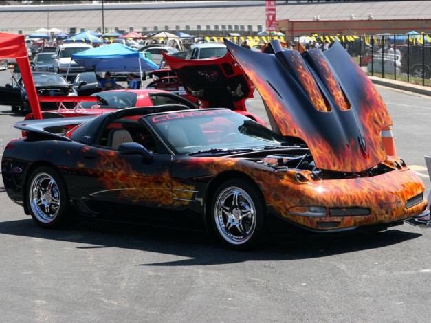 Обои картинки фото автомобили, выставки, уличные, фото