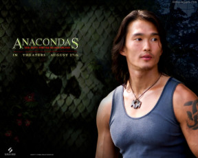 Картинка кино фильмы anacondas