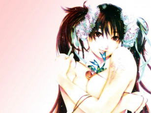 Картинка аниме tenjou tenge