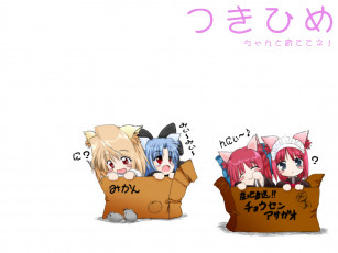 Картинка аниме tsukihime