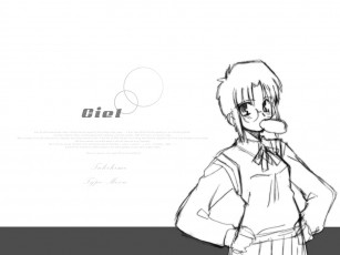 Картинка аниме tsukihime