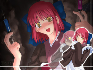 Картинка аниме tsukihime