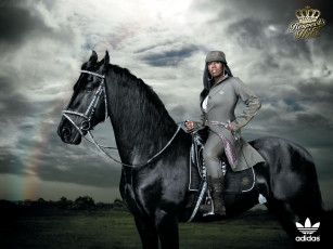 Картинка бренды adidas