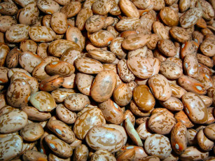 Картинка еда