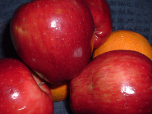 Картинка еда фрукты ягоды