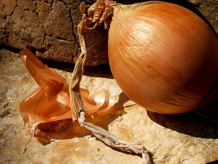 Картинка еда лук