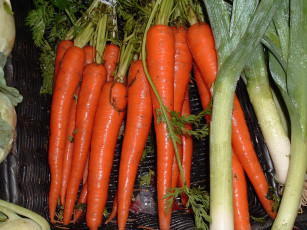 Картинка еда овощи