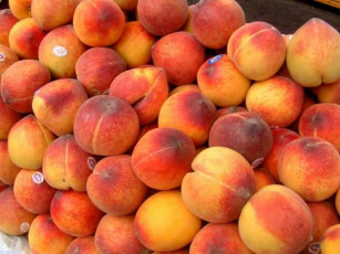 Картинка еда персики сливы абрикосы