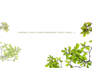 Картинка компьютеры desktop decor