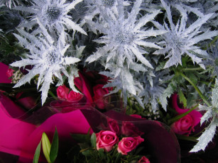 Картинка праздничные