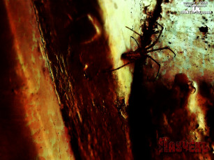 Картинка разное