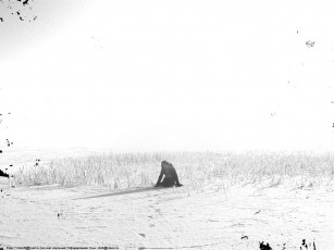 Картинка векторная графика