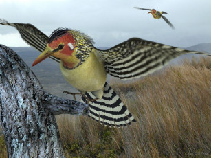 Картинка животные птицы