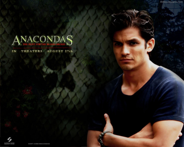 Обои картинки фото кино, фильмы, anacondas
