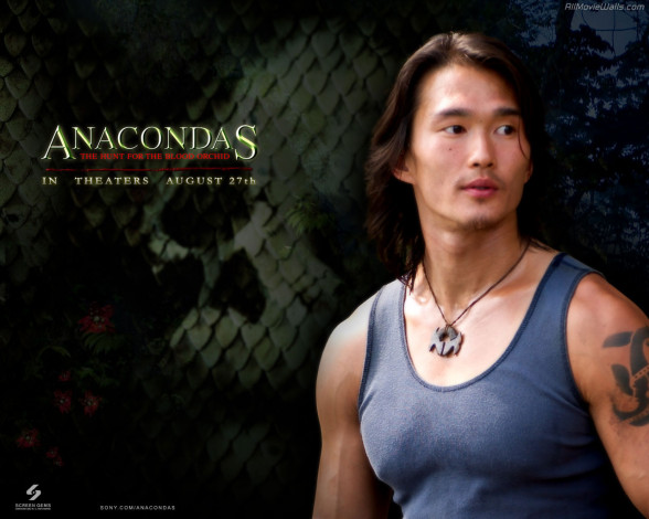Обои картинки фото кино, фильмы, anacondas