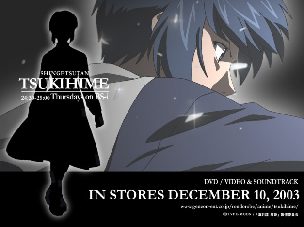 Обои картинки фото аниме, tsukihime