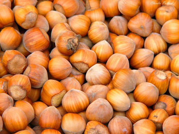 Обои картинки фото еда