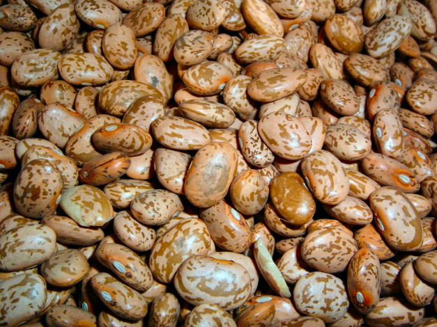 Обои картинки фото еда